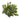 14” Mixed Ficus, Fittonia and Berries Bush Artificial Plant (Set of 6)