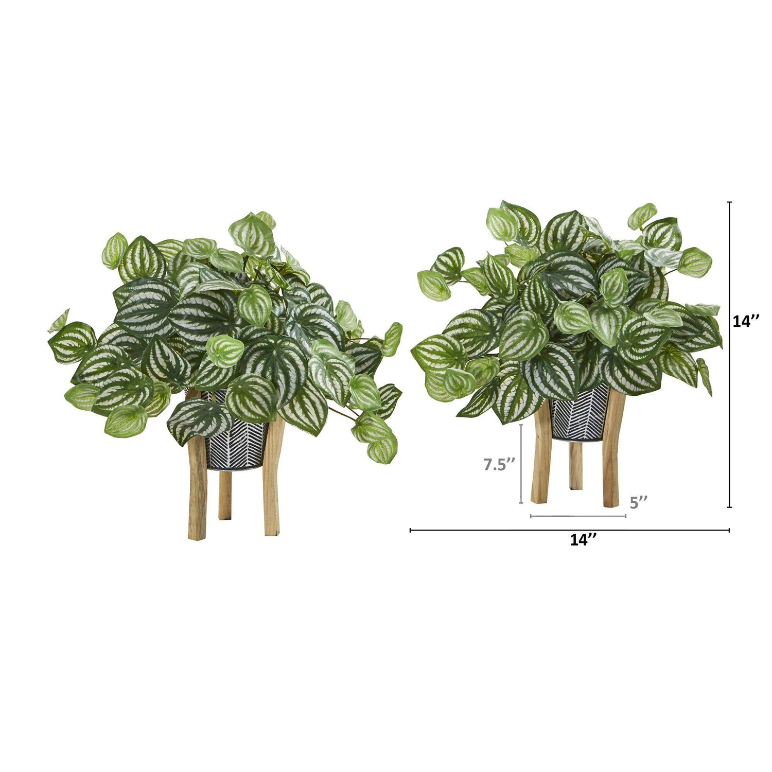 14” Watermelon Peperomia Artificial Plant in Tin Planter with Legs (Real Touch) (Set of 2)