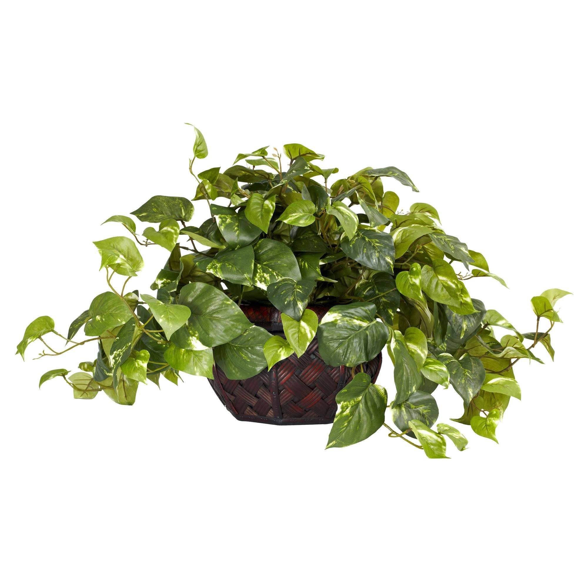 Nearly Natural Pothos with Decorative Vase Silk Plant