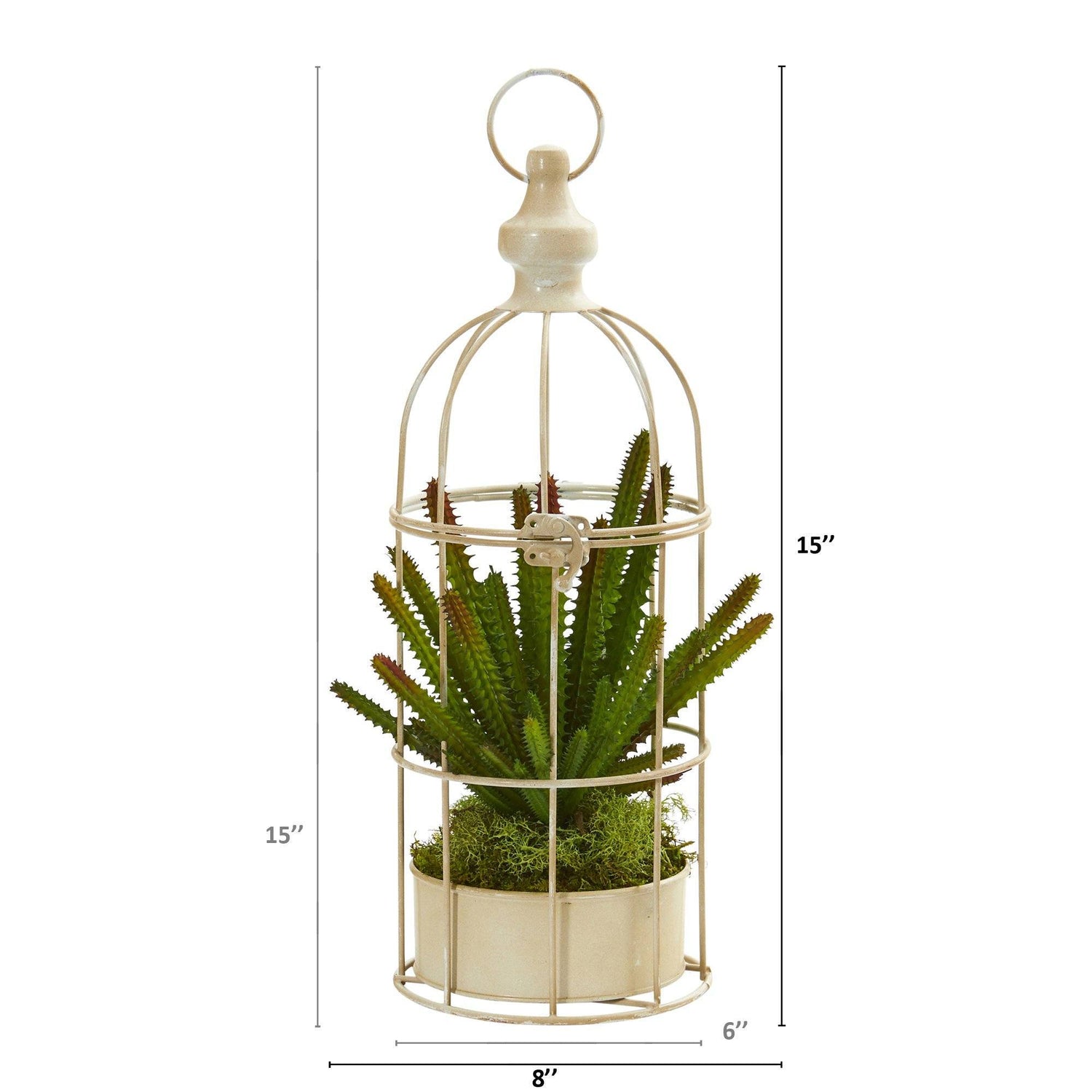 15” Cactus Succulent Artificial Plant in Decorative Cage