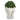 16” Boxwood Topiary Artificial Plant in Elephant Shaped Planter (Indoor/Outdoor)