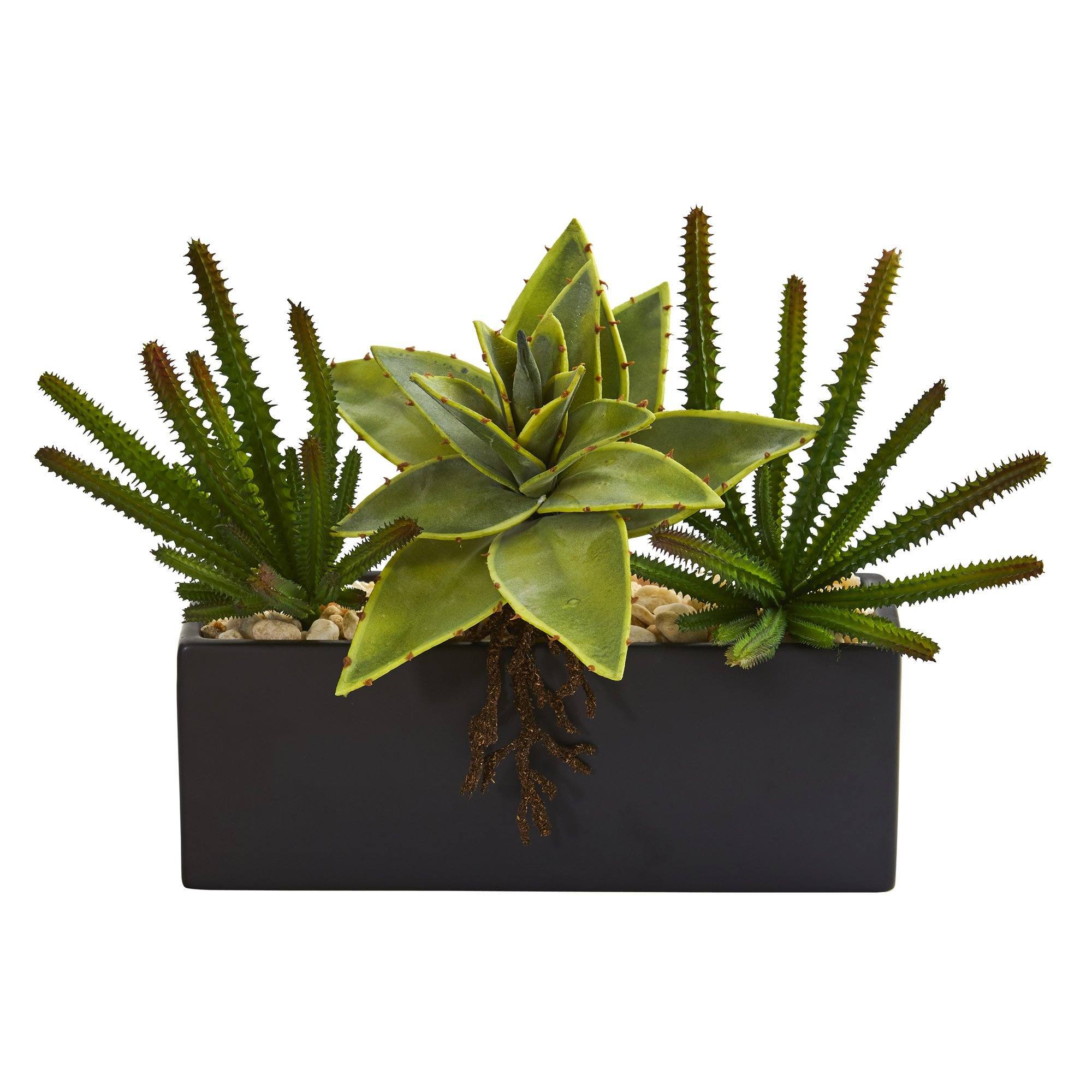 faux succulents in black pots 16” Mixed Succulent Artificial Plant in Black Planter
