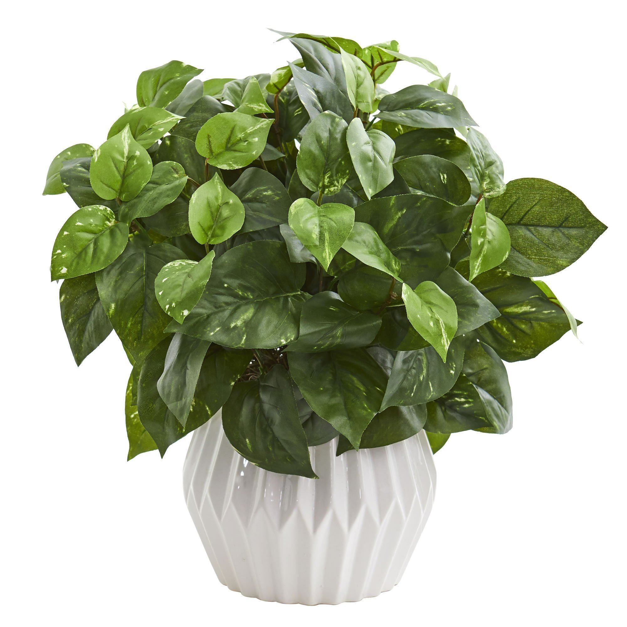 pothos amazon 16’’ Pothos Artificial Plant in White Ceramic Vase