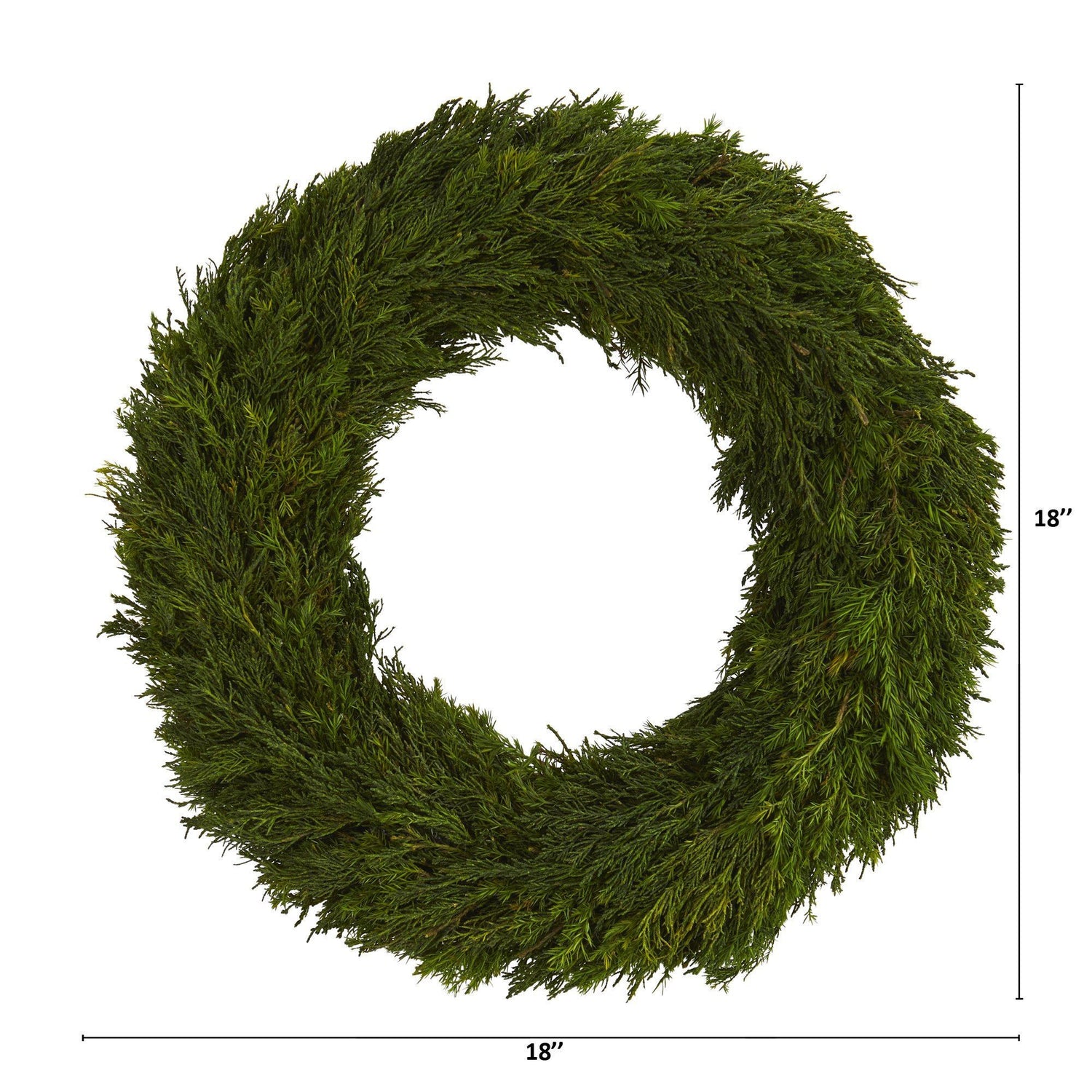 18” Cypress Preserved Wreath