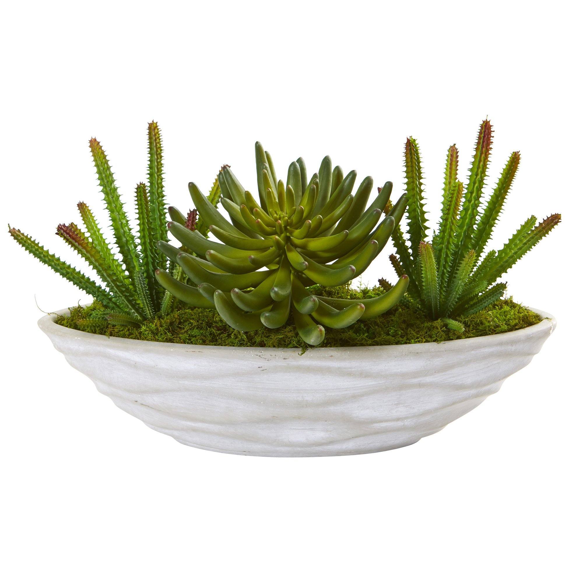 faux potted succulent 18” Succulent Artificial Plant in Decorative Planter