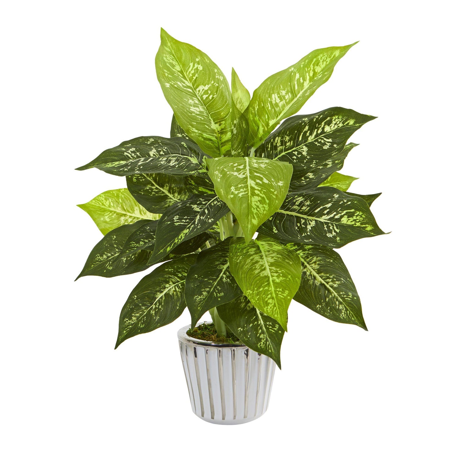 19” Dieffenbachia Artificial Plant in White Vase (Set of 2)