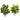 19” Dieffenbachia Artificial Plant in White Vase (Set of 2)