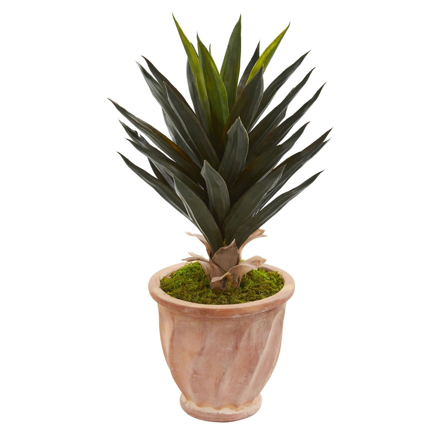2' Agave Artificial Plant in Terra Cotta Planter