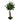 2’ Ficus Bonsai Artificial Tree in Decorative Planter