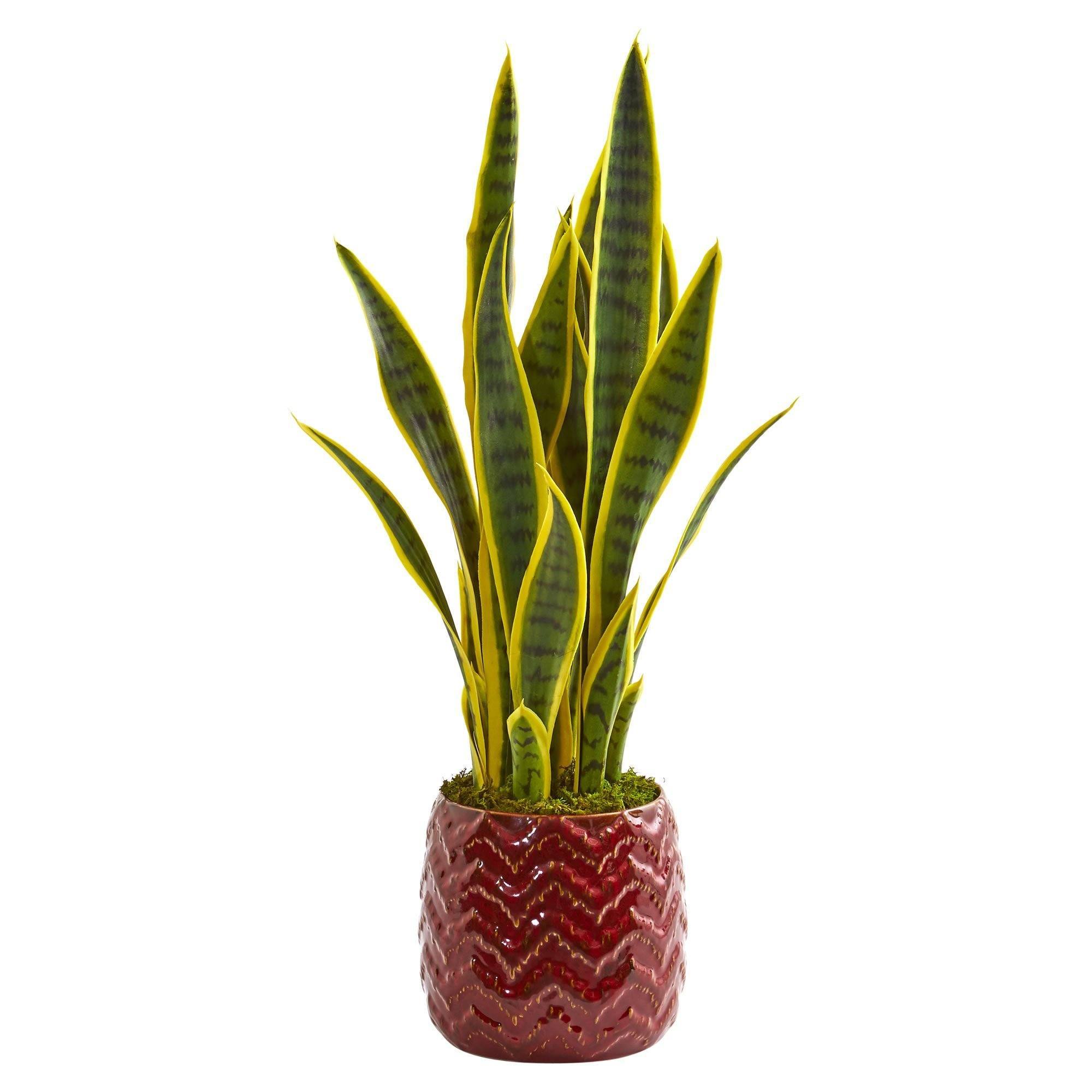 sansevieria red 2’ Sansevieria Artificial Plant in Red Planter