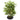 20” Bamboo Artificial Plant