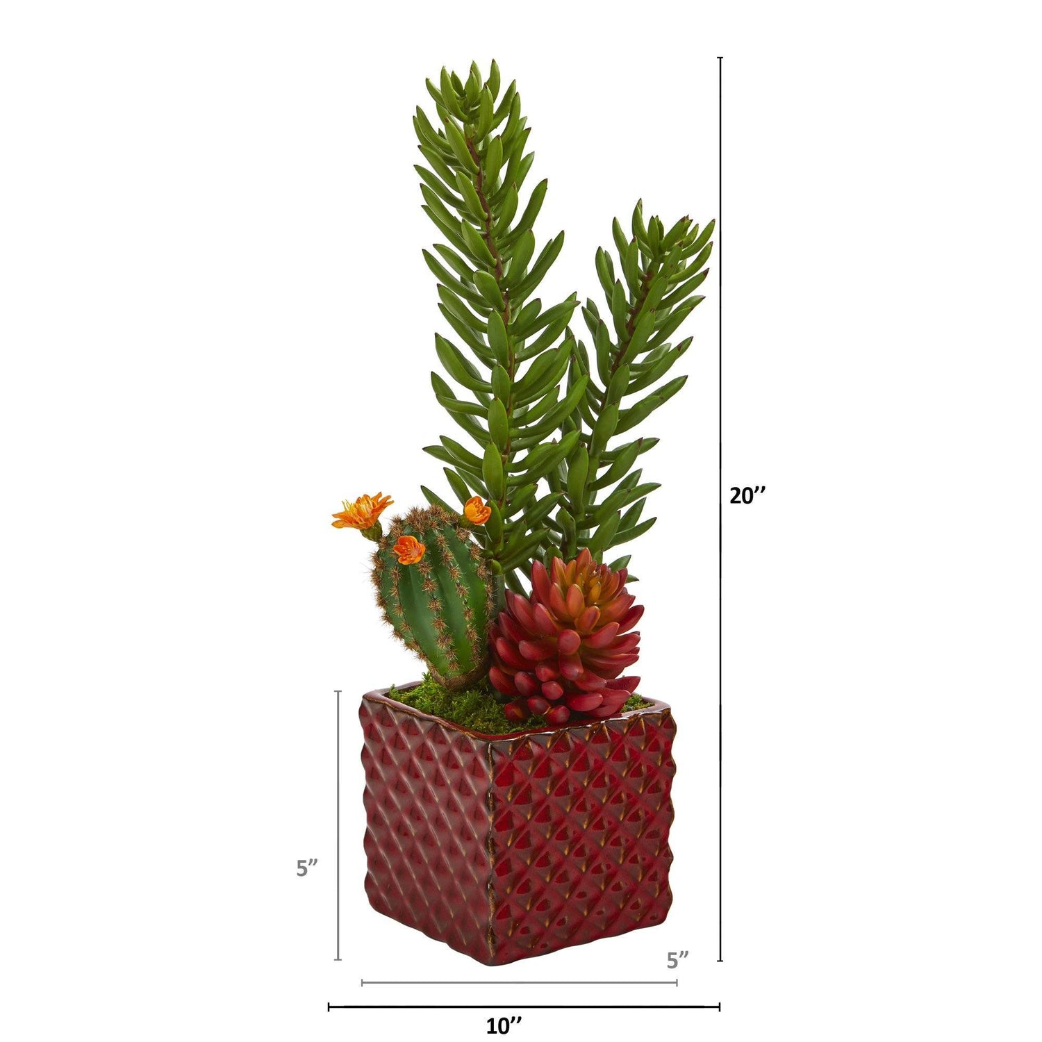 20” Mixed Succulent Artificial Plant in Red Ceramic Vase