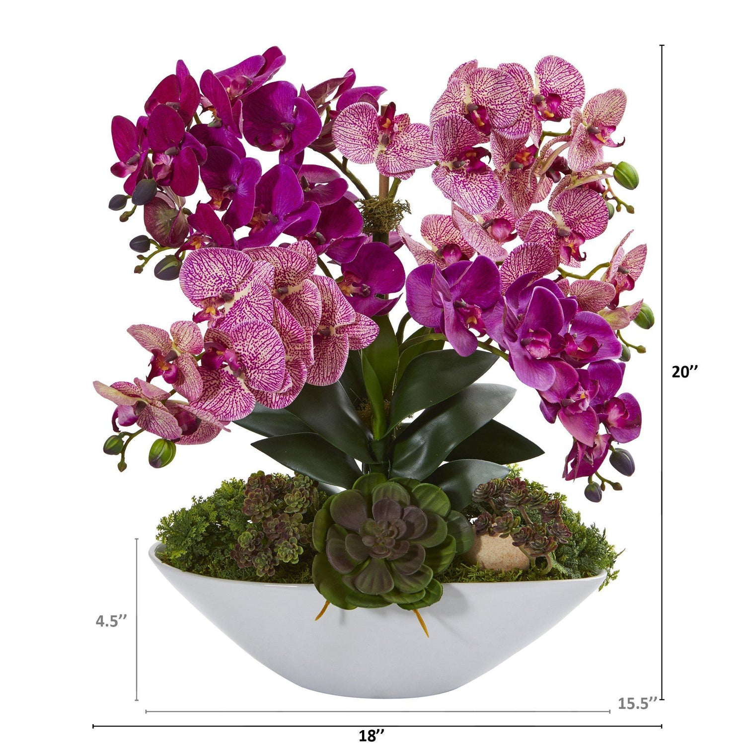 20” Phalaenopsis Orchid and Succulent Artificial Arrangement in White Vase