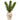 20” Succulent Artificial Plant in Floral Jar