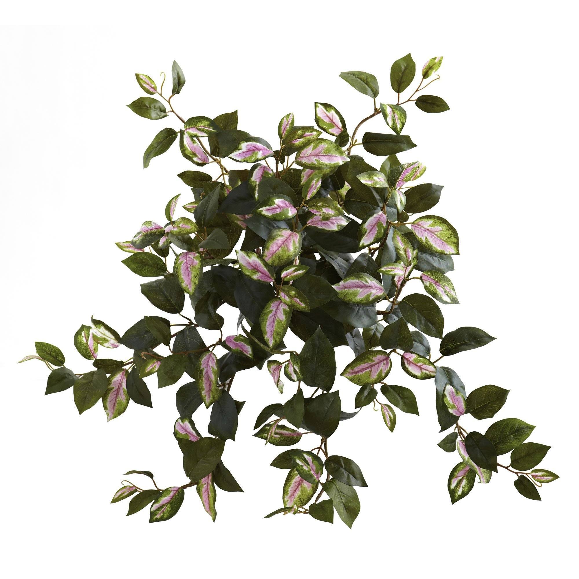 hanging bush plant Nearly Natural 21 in. Hoya Hanging Bush