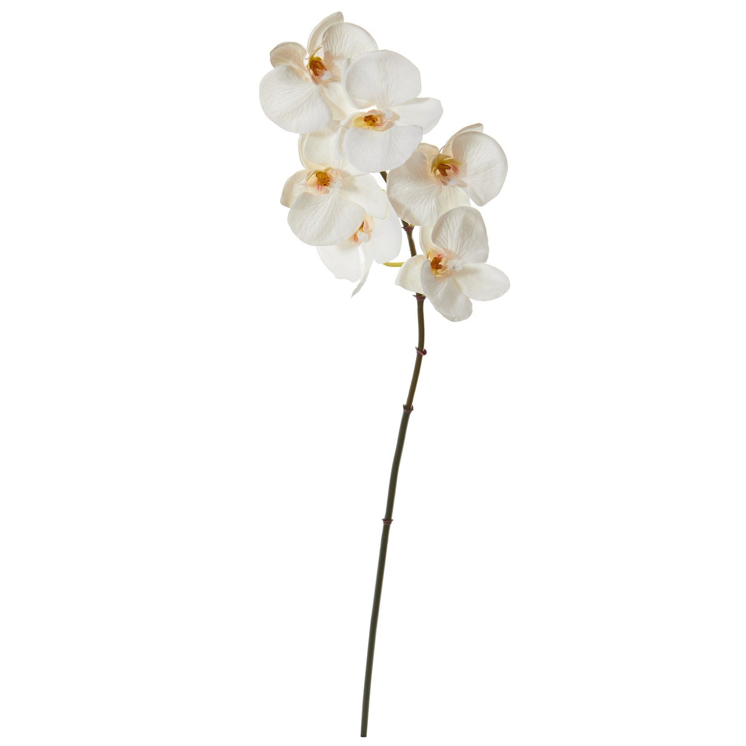 22” Phalaenopsis Orchid Artificial Flower (Set of 12)