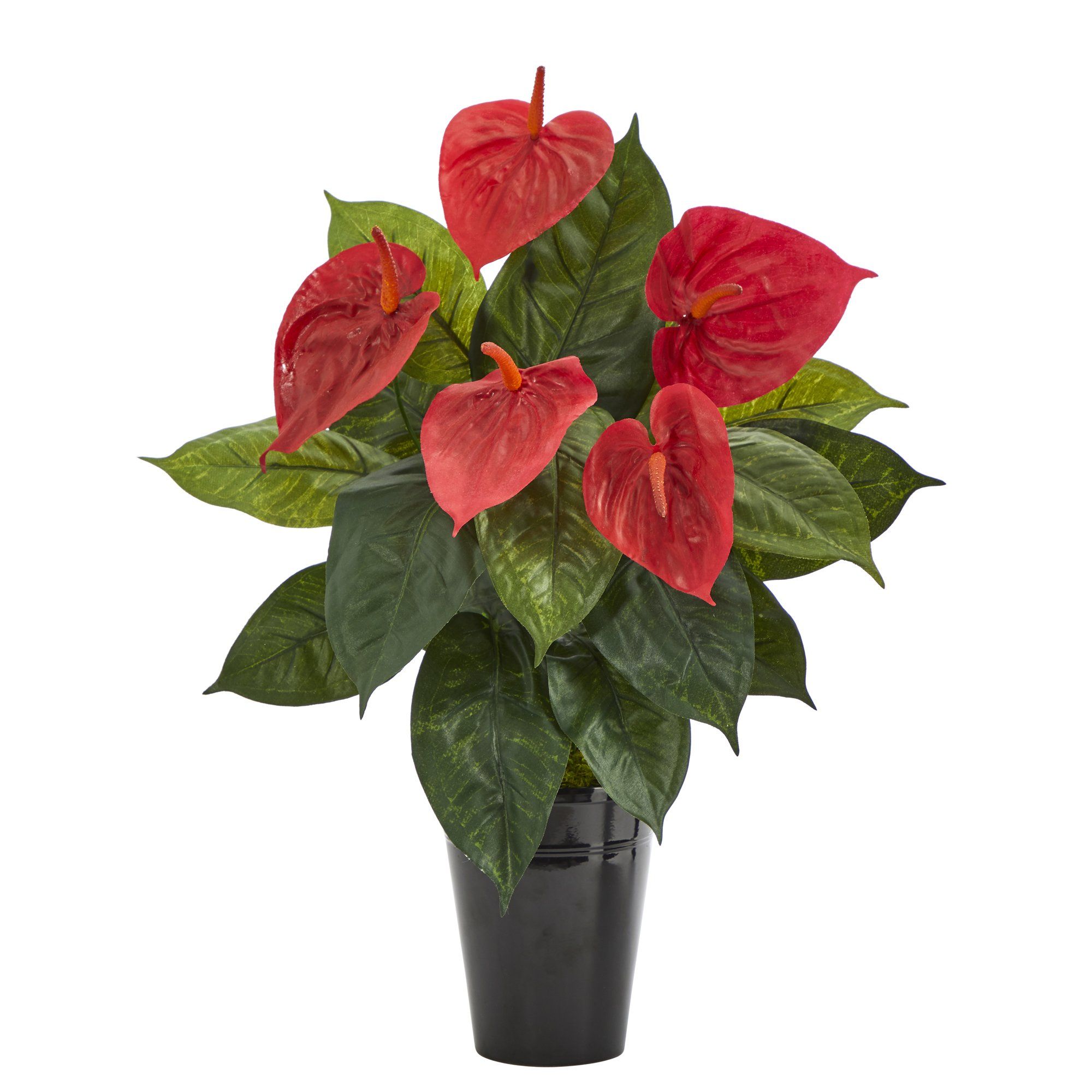 home depot anthurium 23” Anthurium Artificial Plant in Black Planter