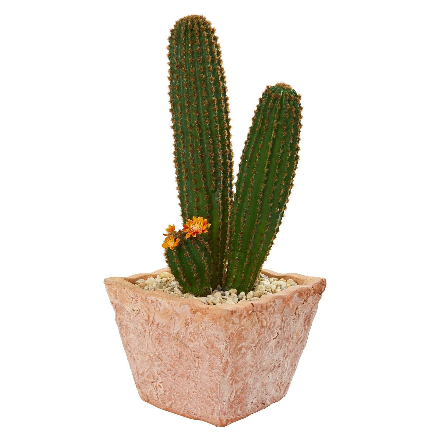 23” Cactus Succulent Artificial Plant in Terra Cotta Planter