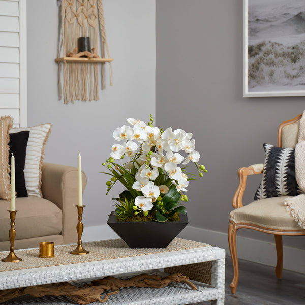 23” Phalaenopsis Orchid and Succulent Artificial Arrangement in Vase