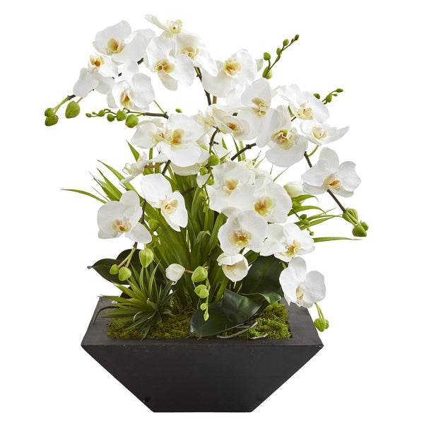 23” Phalaenopsis Orchid and Succulent Artificial Arrangement in Vase
