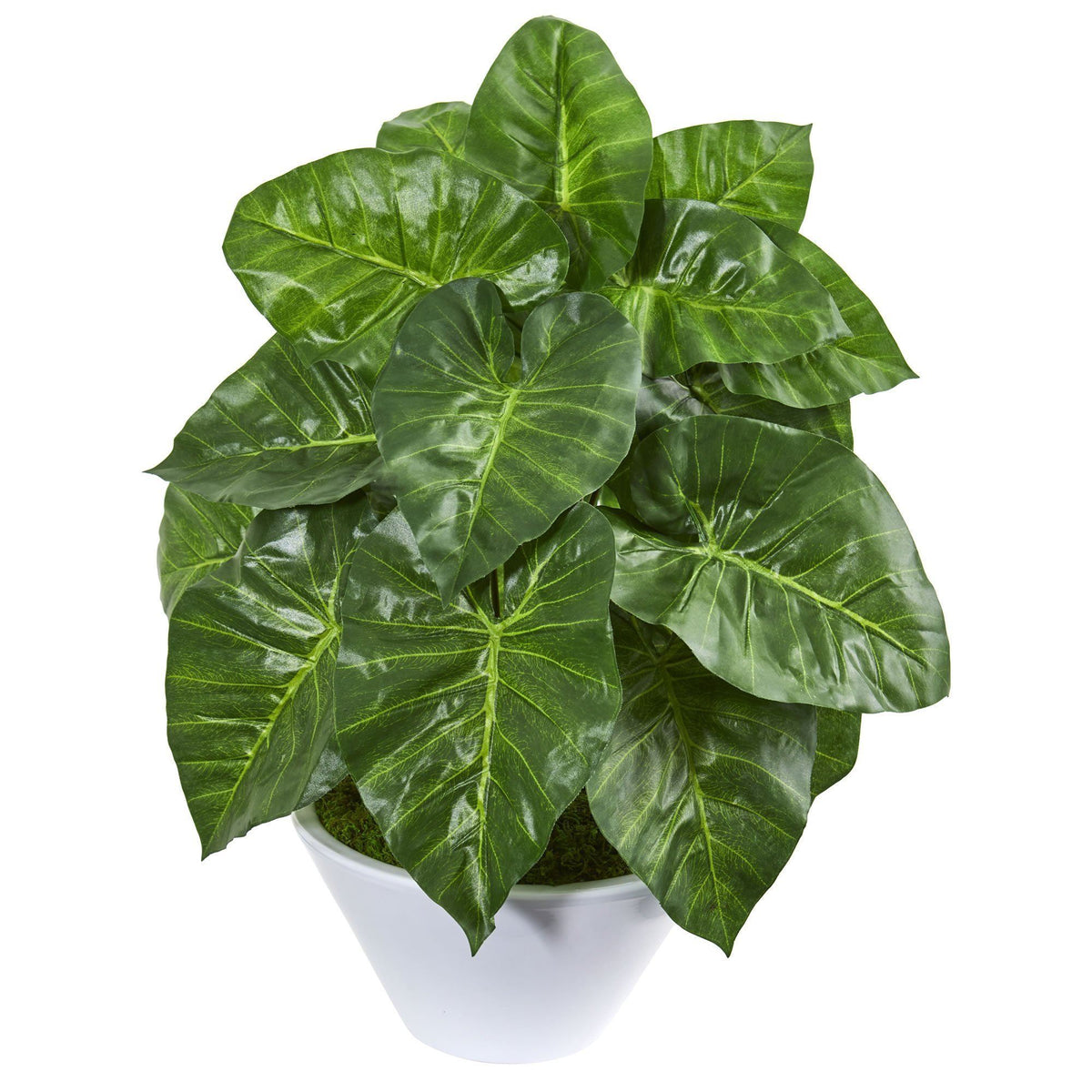 23” Taro Artificial Plant in White Vase