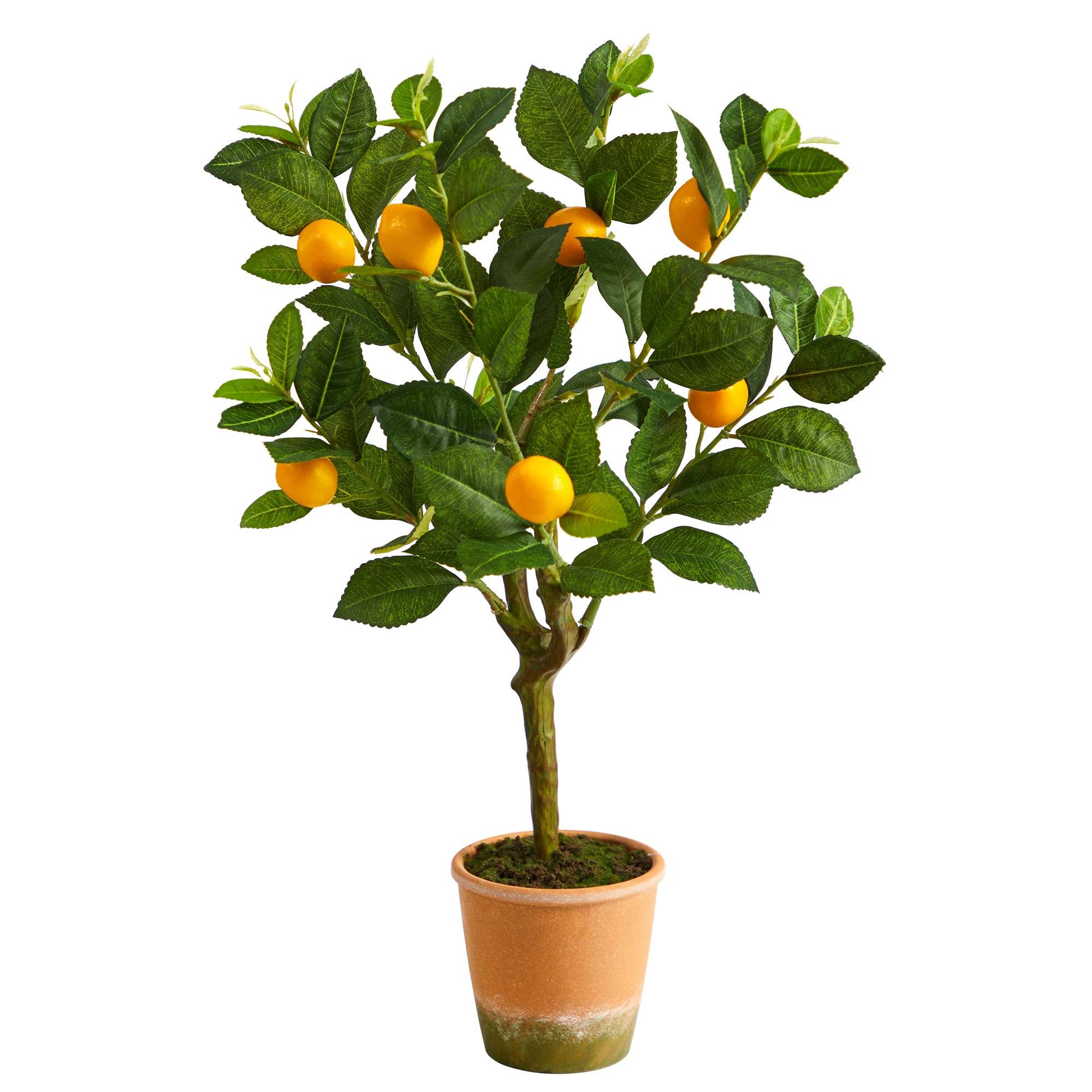 24” Lemon Artificial Tree | Nearly Natural