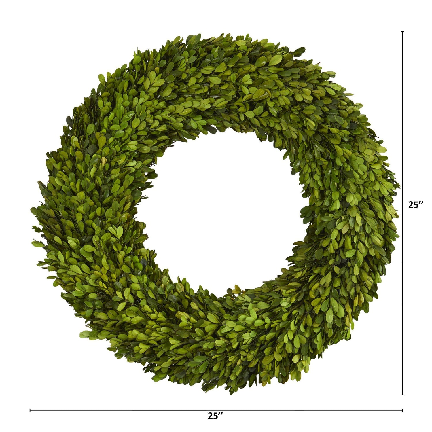 24” Preserved Boxwood Wreath