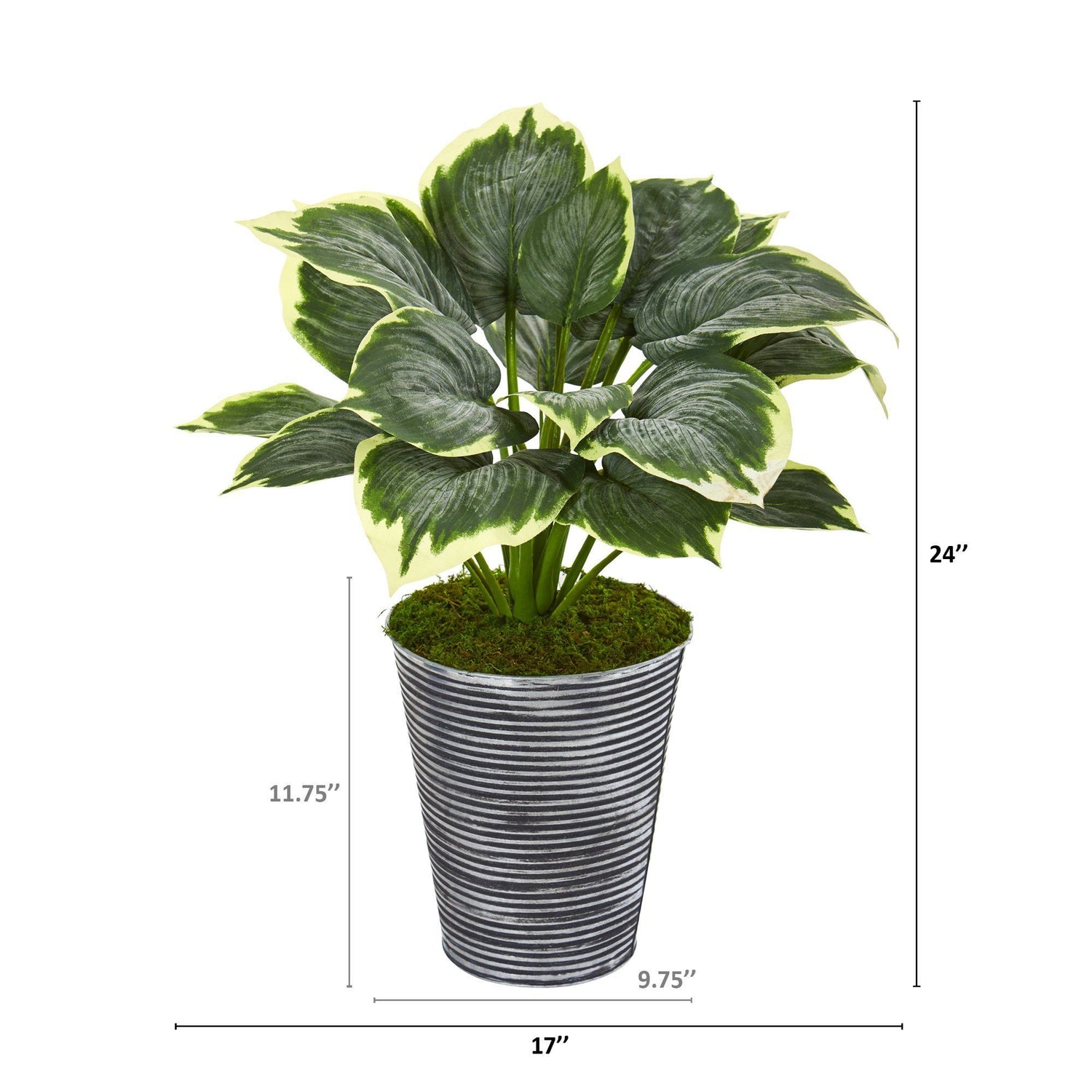 24” Variegated Hosta Artificial Plant in Tin Planter