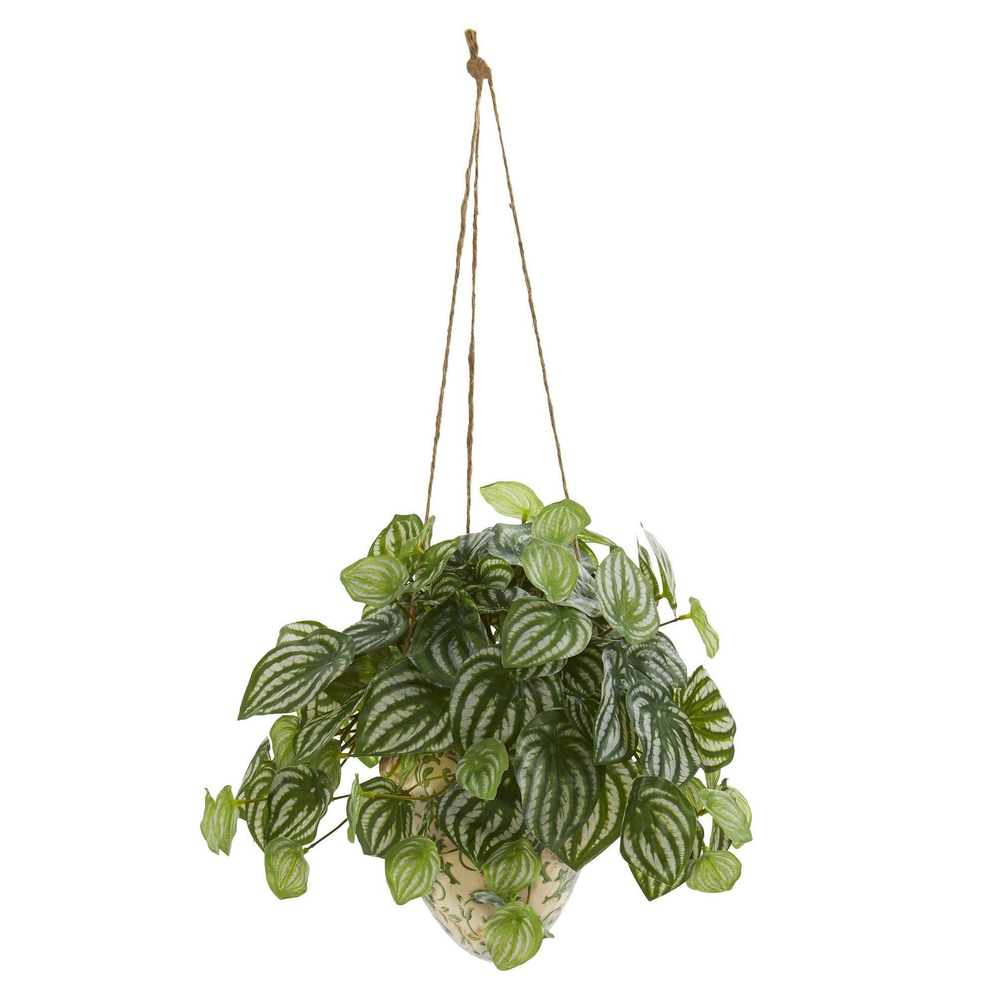 watermelon hanging plant 24" Watermelon Peperomia Artificial Plant in Hanging Vase (Real Touch)