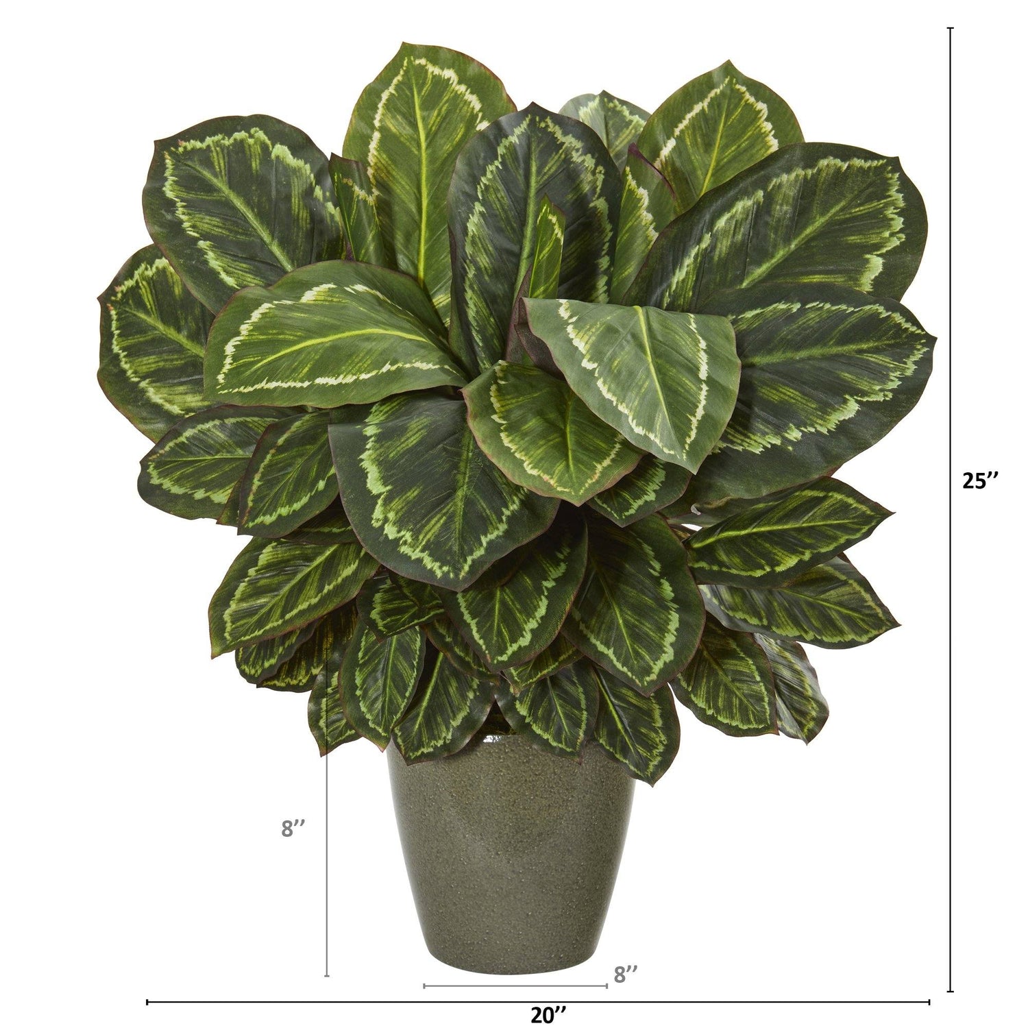25” Maranta Artificial Plant in Decorative Planter