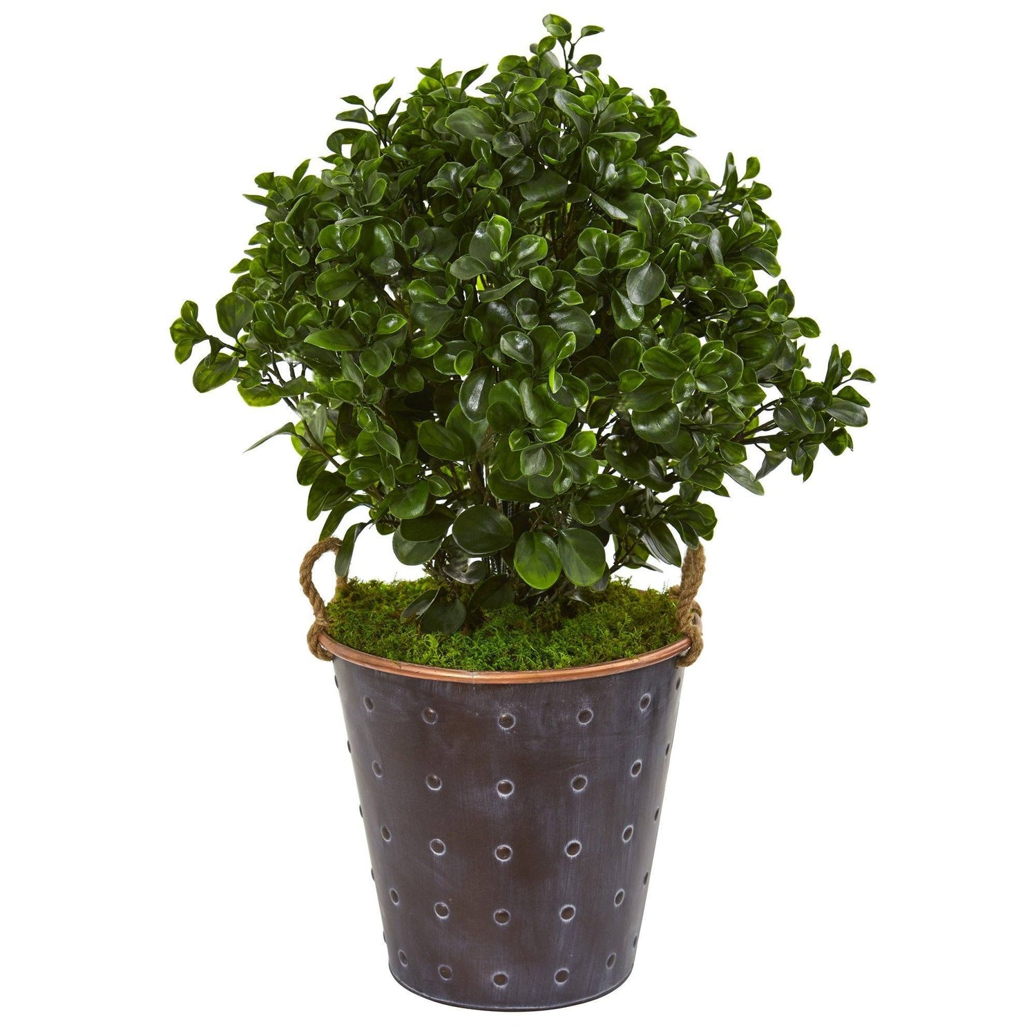 2.5’ Peperomia Artificial Plant in Metal Planter (Indoor/Outdoor)