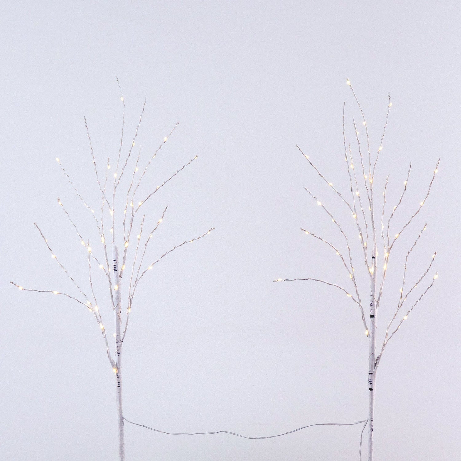 2.5' Pre-Lit Artificial White Birch Branches with Warm White 100 Micro LED Lights - Set of 2