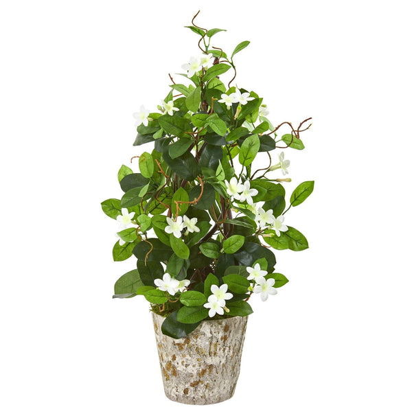 25” Stephanotis Artificial Climbing Plant in Weathered Planter