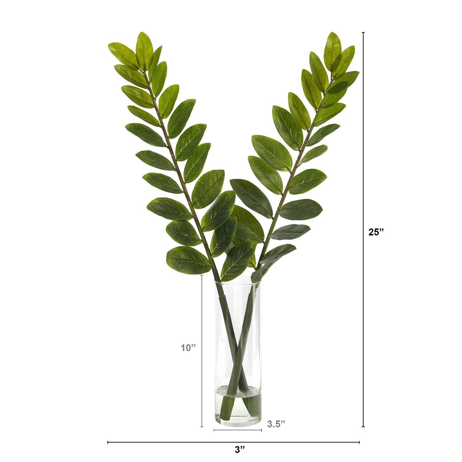 25” Zamioculcas Artificial Plant in Glass Planter