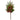 26” Mixed Pine, Pinecone and Berry Artificial Plant (Set of 3)
