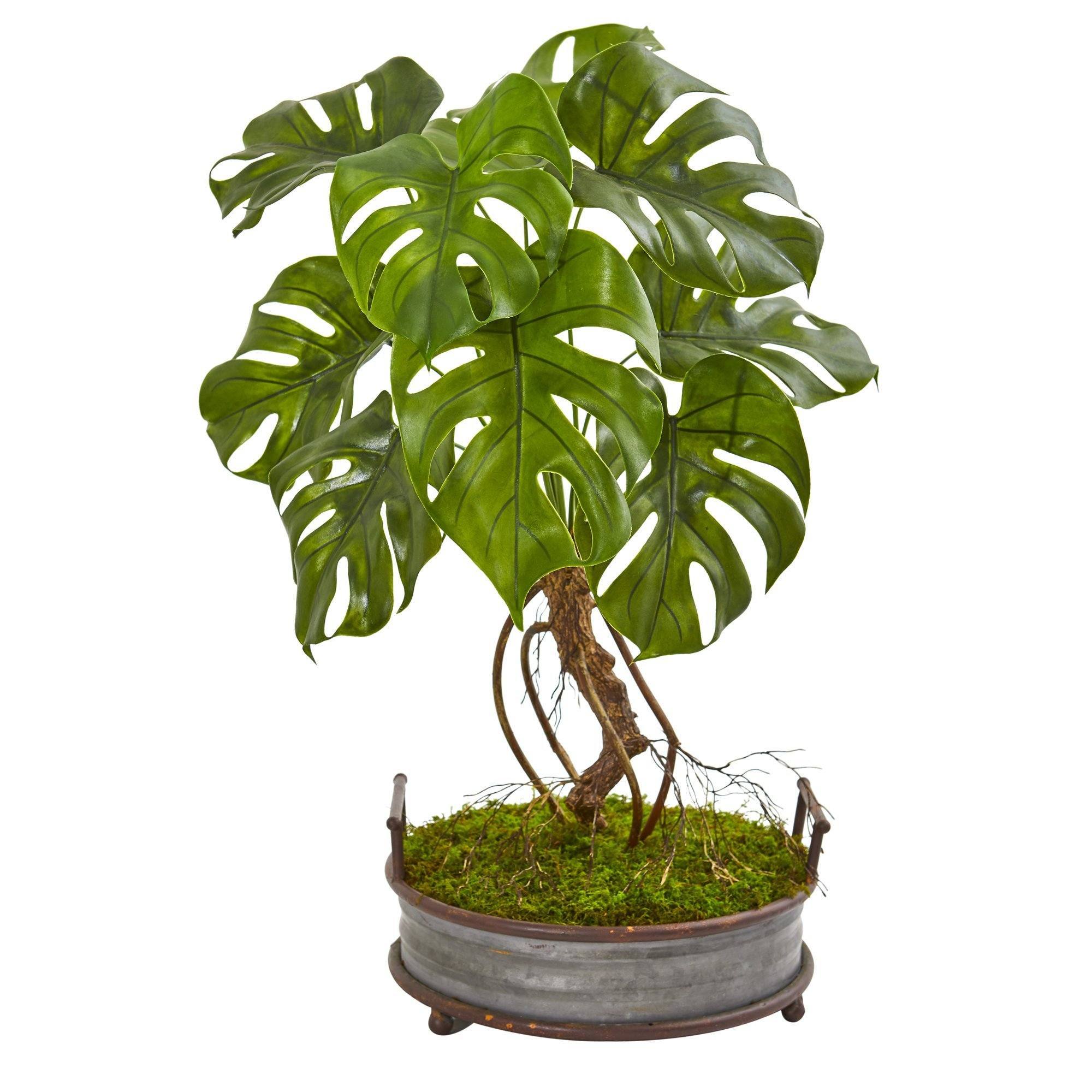 bonsai monstera 26” Monstera Artificial Plant in Metal Planter