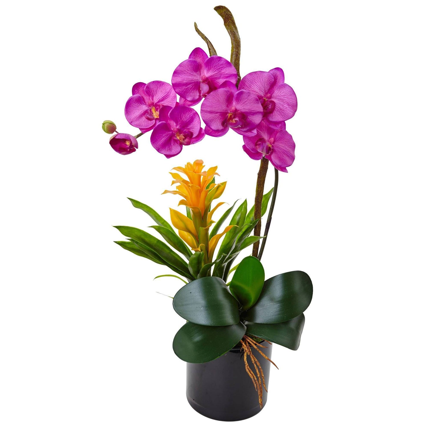 26” Orchid and Bromeliad in Glossy Black Cylinder