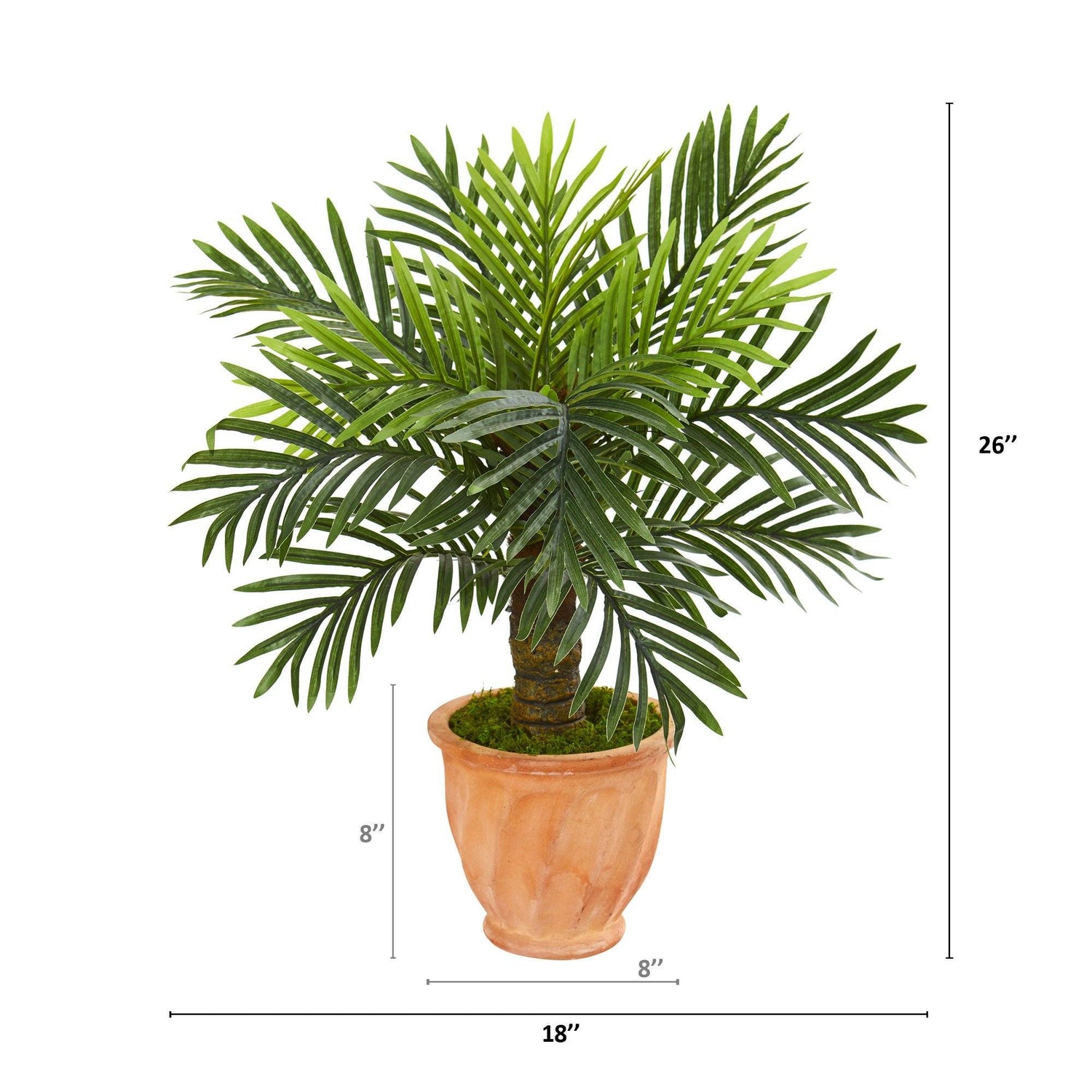 26” Robellini Palm Artificial Tree in Terra-Cotta Planter