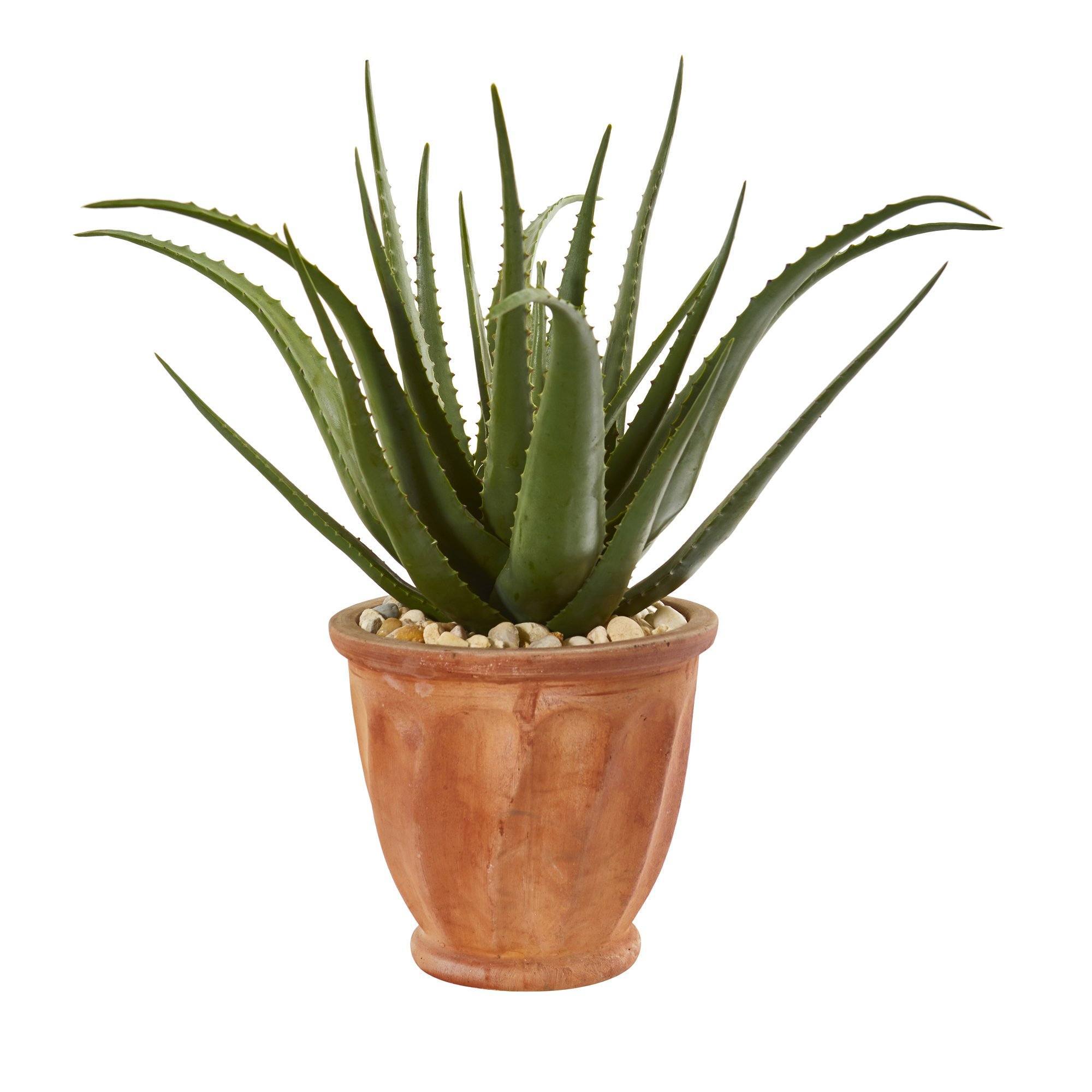 terra aloe 27” Aloe Artificial Plant in Terra-cotta Planter