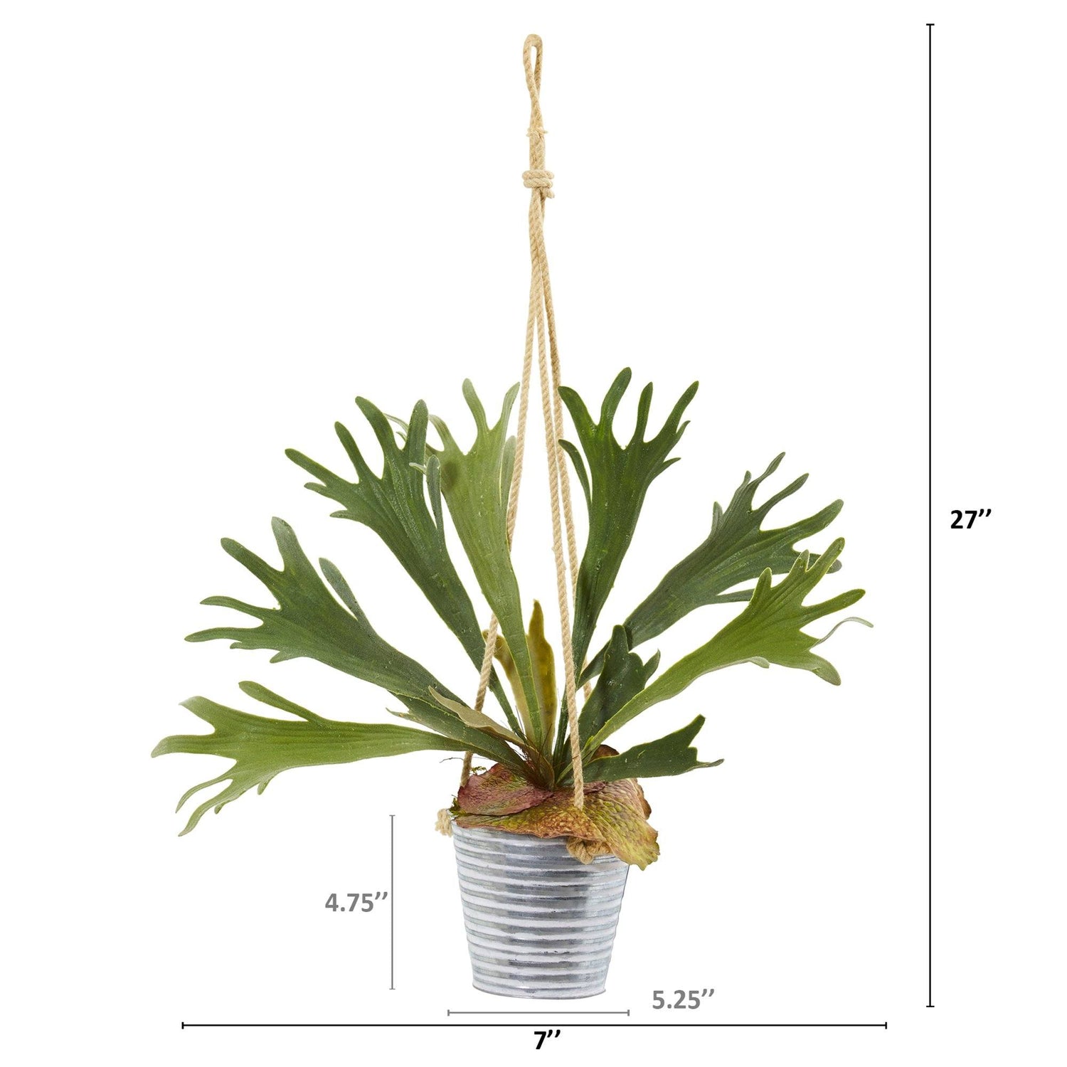 27” Tillandsia Moss and Staghorn Artificial Plant in Hanging Bucket (Set of 2)