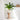 28” Artificial Zamioculcas Plant