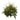 28” Mix Greens Artificial Plant (Set of 2)