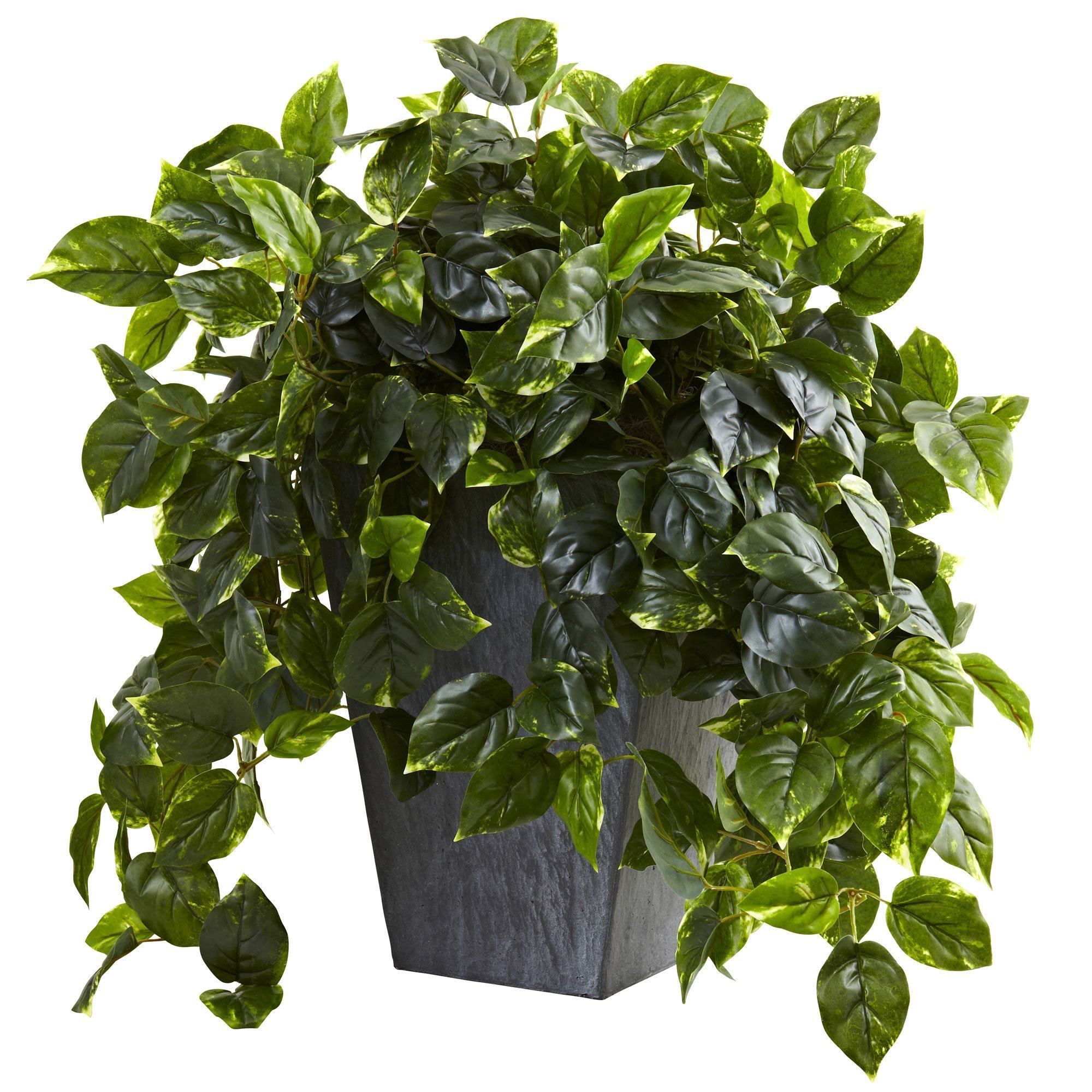 nearly natural pothos Nearly Natural Hanging Pothos with Slate Planter UV Resistant (Indoor/Outdoor)