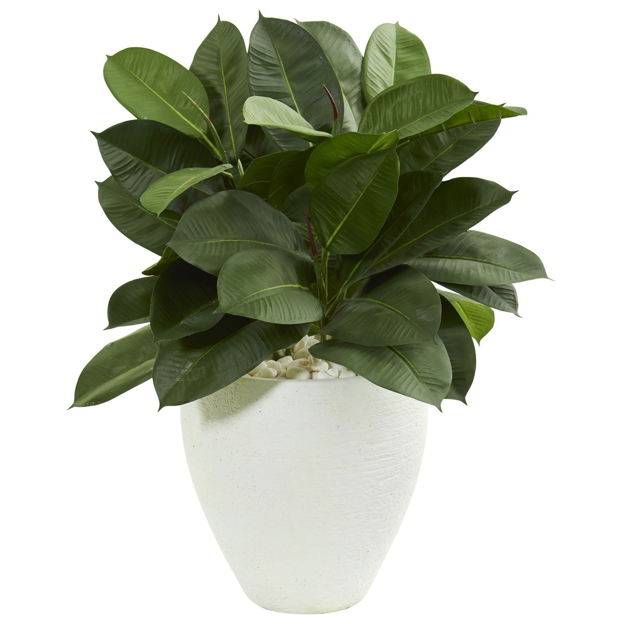rubber plant in white pot 29” Artificial Rubber Plant in White Planter