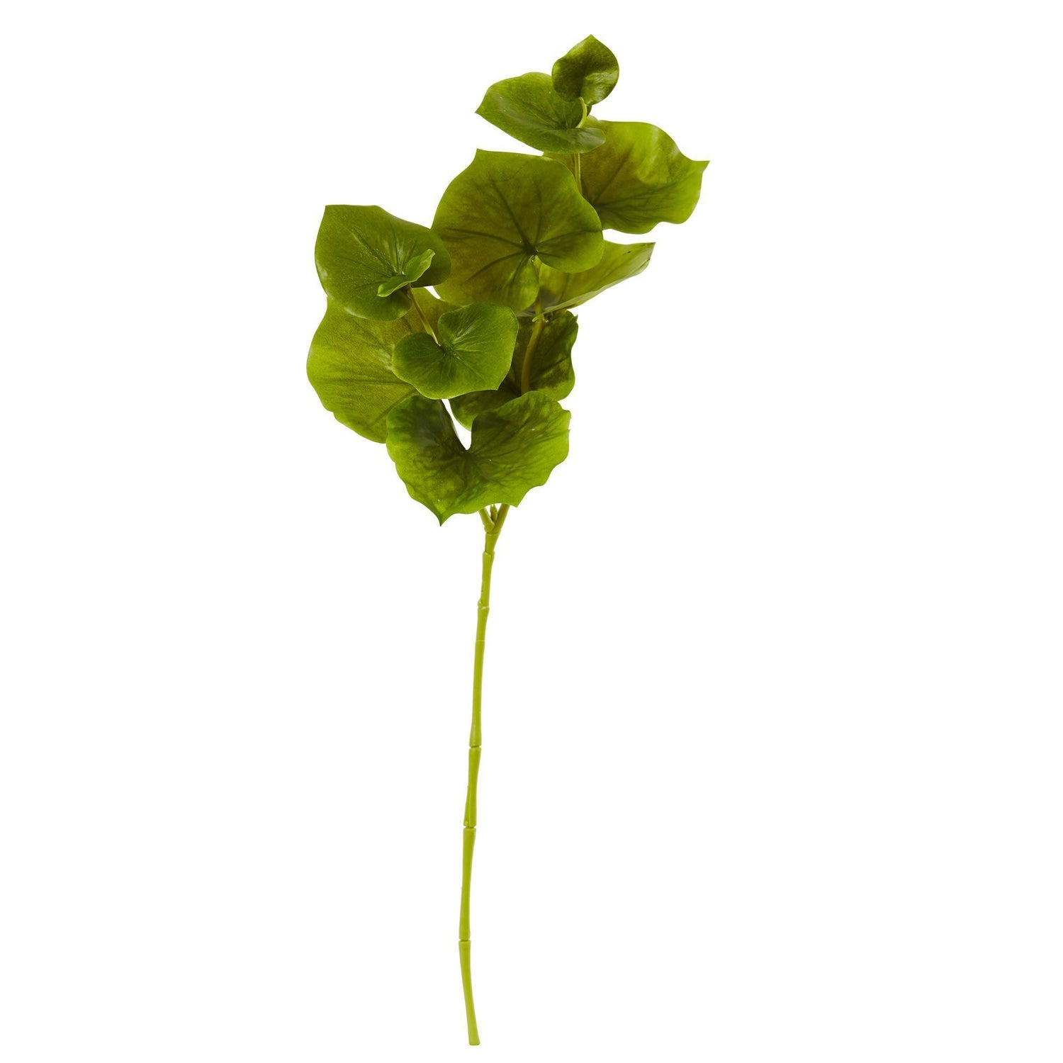 29” Lotus Artificial Leaf (Set of 12)