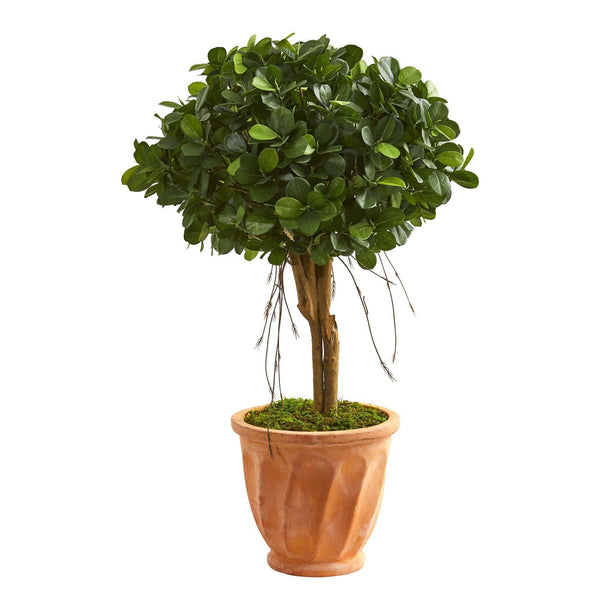 3’ Ficus Artificial Tree in Terra Cotta Planter