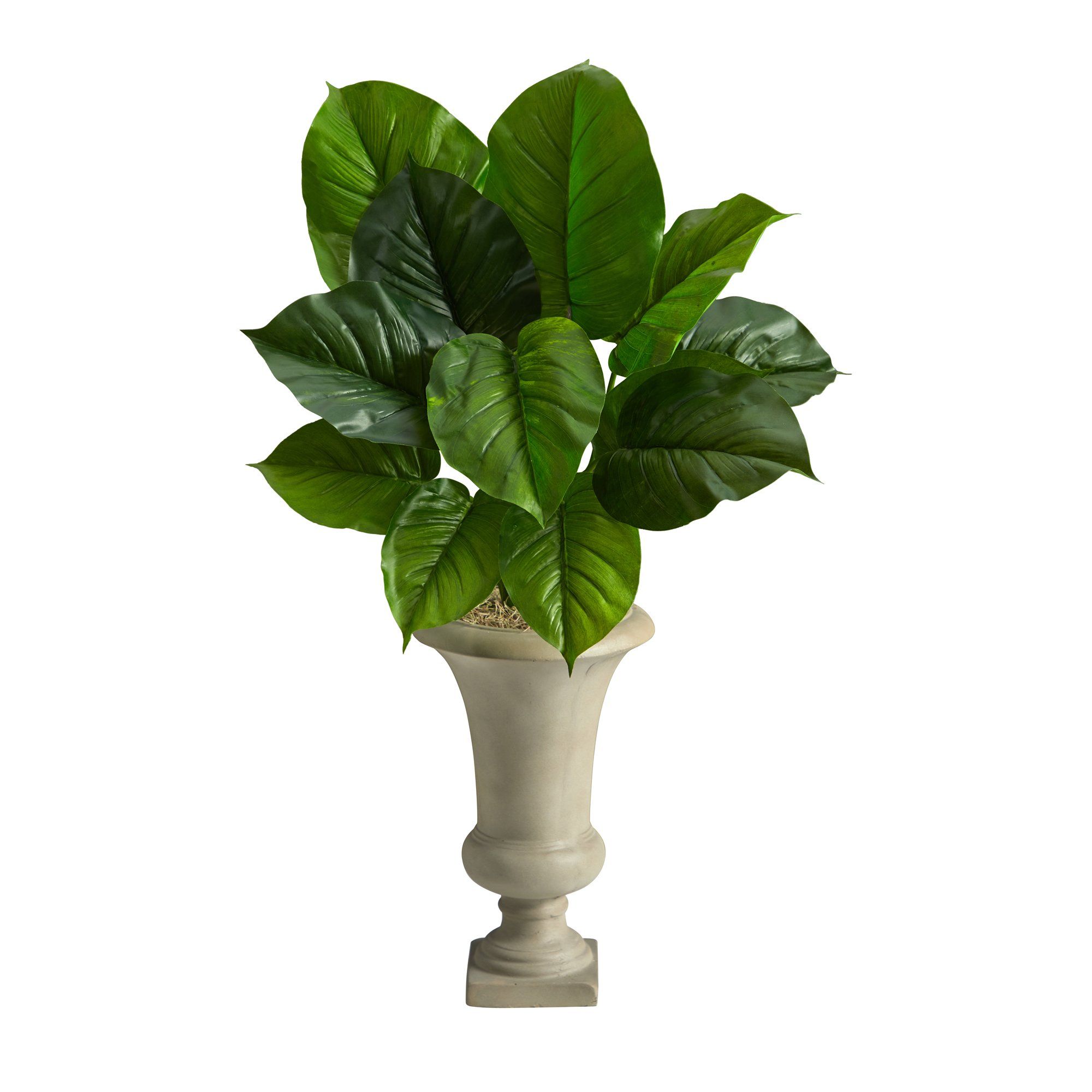 giant philodendron flower 3ft. Large Philodendron Leaf Artificial Plant in Sand Colored Urn