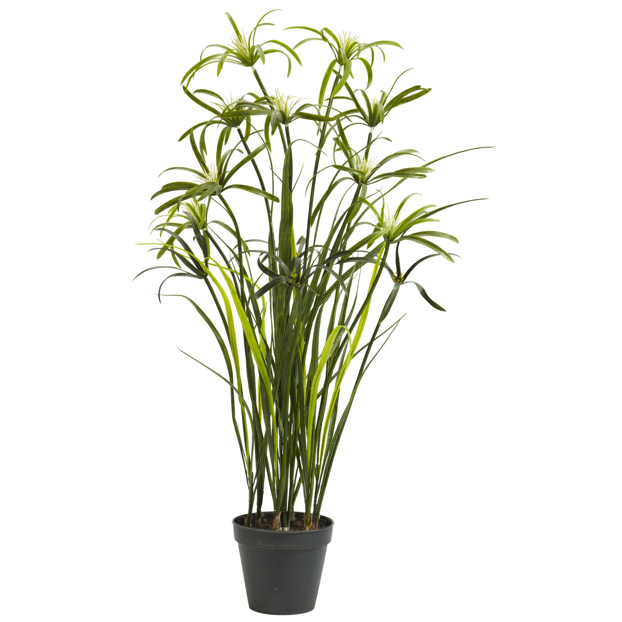 papyrus plant pot 3' Papyrus Silk Plant