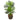 3’ Paradise Palm Artificial Tree in Decorative Planter