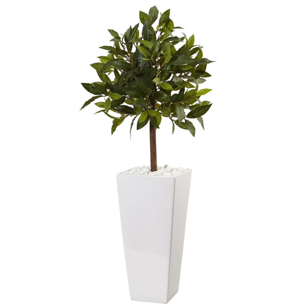 3’ Sweet Bay Tree in White Tower Planter